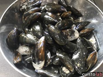 Les moules fraiches