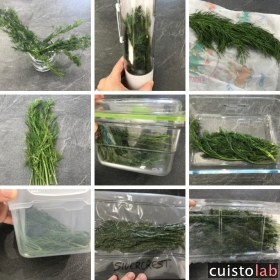 Comment conserver au mieux les herbes aromatiques ?