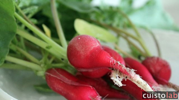 Nouveau : un potager encastrable dans la cuisine