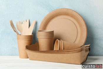 Quelles sont les alternatives à la vaisselle jetable en plastique ?