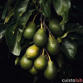 Cuisiner plus sain : comment remplacer les ingrédients industriels