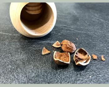 Casse-noix & noisettes champignon en bois
