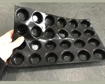 Moule 30 mini tartelettes en Silicone - Guy Demarle