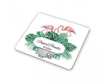 Balance de cuisine Terraillon Graphique Ananas