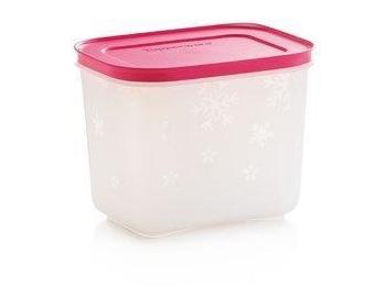 2 boîtes Igloo 1,1 litre