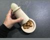 Casse-noisettes Moha