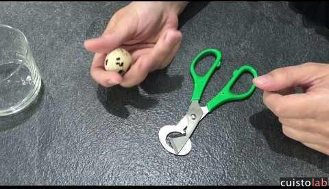 Ouverture des oeufs de caille avec les ciseaux Bron-Coucke
