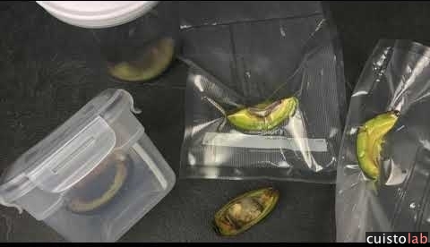 L'avocat au bout de 20 heures