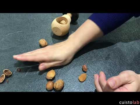 Premiers tests du champignon casse-noix de Roger Orfèvre