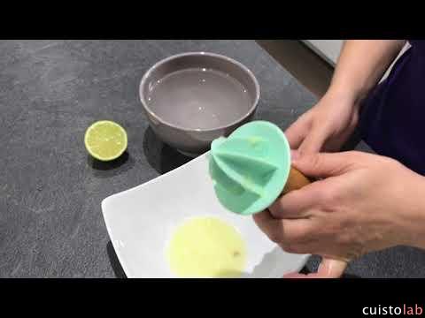 Les premiers essais avec Leo