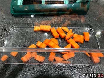 Le résultat de la coupe de carotte avec la grille 1,2 x 1,2 cm du Nicer Dicer