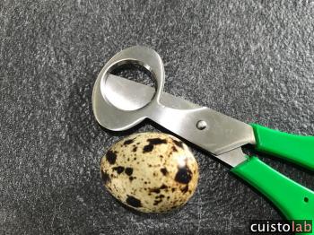 Avis Ciseaux pour oeuf de caille Bron Coucke de Bron coucke