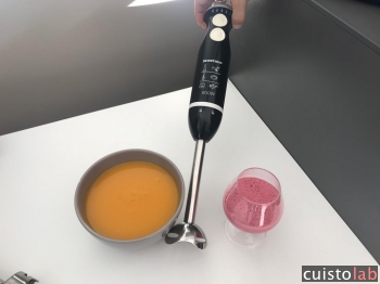 Avis Mixeur plongeant Silvercrest (LIDL) de Silvercrest (LIDL)