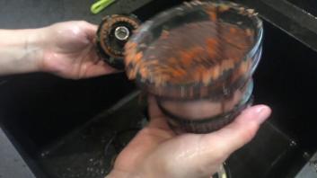 Nettoyage de l'extracteur de jus Détoximix