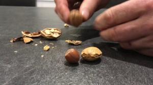 Utilisation du casse-noix Nut Splitter d'Alessi