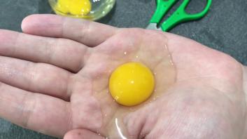 Ciseaux pour oeufs de caille Bron-Coucke