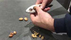 Utilisation du casse-noix Cubo de Berghoff par un homme